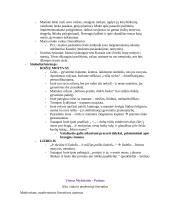 Šatrijos Ragana – Marija Pečkauskaitė. Konspektas 4 puslapis