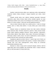 Bankininkystės bei bankų raida Lietuvoje 19 puslapis