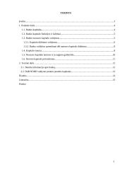Banko nuosavas kapitalas: DnB Nord 2 puslapis