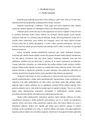 Banko nuosavas kapitalas: DnB Nord 4 puslapis