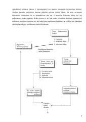 Banko nuosavas kapitalas: DnB Nord 9 puslapis
