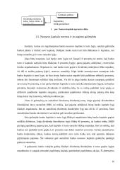 Banko nuosavas kapitalas: DnB Nord 10 puslapis