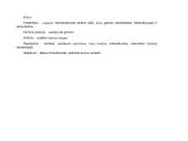 Virškinimo organai 16 puslapis