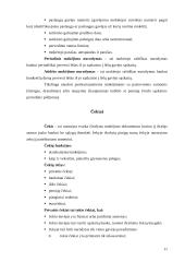 Banko veiklos organizavimas ir planavimas 11 puslapis