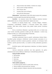 Banko veiklos organizavimas ir planavimas 12 puslapis