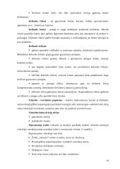 Banko veiklos organizavimas ir planavimas 14 puslapis