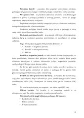 Banko veiklos organizavimas ir planavimas 19 puslapis