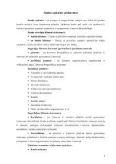 Banko veiklos organizavimas ir planavimas 4 puslapis