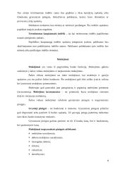 Banko veiklos organizavimas ir planavimas 8 puslapis