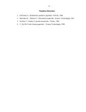 Bankroto modeliai 14 puslapis