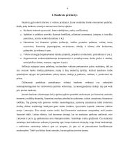 Bankroto modeliai 3 puslapis