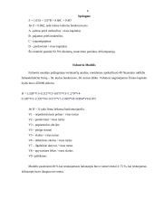 Bankroto modeliai 5 puslapis