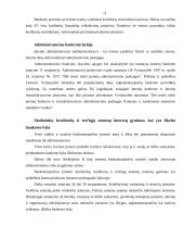 Bankroto modeliai 10 puslapis