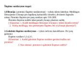 Inksto sandara 12 puslapis