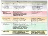 Inksto sandara 13 puslapis