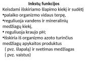 Inksto sandara 8 puslapis