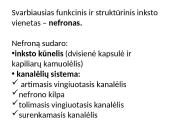 Inksto sandara 9 puslapis