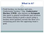 Underwater Hockey 2 puslapis