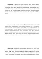 Bankų apsaugos techninės priemonės 8 puslapis