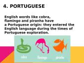 Most interesting facts about European languages 5 puslapis