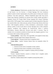 Klimato kaita ir energetikos politika 2 puslapis