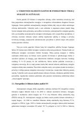 Klimato kaita ir energetikos politika 12 puslapis