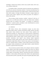 Klimato kaita ir energetikos politika 18 puslapis