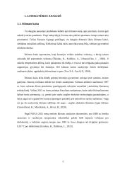 Klimato kaita ir energetikos politika 3 puslapis