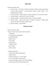 Bankų istorija ir raida 6 puslapis