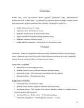 Bankų kreditų gavimo sąlygos Lietuvoje (verslo įmonėms) 11 puslapis