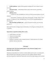 Bankų kreditų gavimo sąlygos Lietuvoje (verslo įmonėms) 13 puslapis