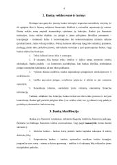 Bankų sistema Lietuvoje, bankų veikla, klasifikacija bei tikslai 3 puslapis
