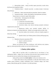 Bankų sistema Lietuvoje, bankų veikla, klasifikacija bei tikslai 4 puslapis