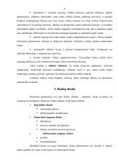 Bankų sistema Lietuvoje, bankų veikla, klasifikacija bei tikslai 5 puslapis