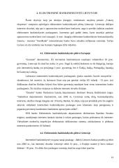 Bankų sistemos Lietuvoje aprašymas ir analizė 13 puslapis