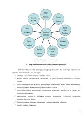 Bankų sistemos Lietuvoje aprašymas ir analizė 7 puslapis