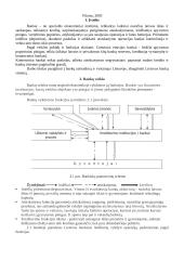 Bankai bei bankų sistema Lietuvoje 2 puslapis