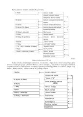 Bankai bei bankų sistema Lietuvoje 5 puslapis