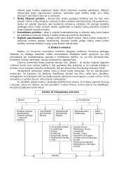 Bankai bei bankų sistema Lietuvoje 8 puslapis