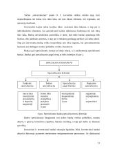 Bankų sistemos struktūra 12 puslapis
