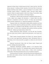 Bankų sistemos struktūra 13 puslapis