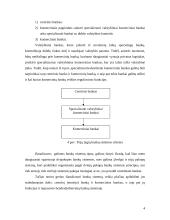 Bankų sistemos struktūra 3 puslapis