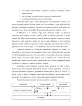 Bankų sistemos struktūra 6 puslapis