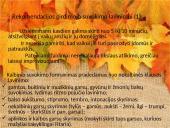 Girdimojo suvokimo lavinimo svarba ir ypatumai  11 puslapis