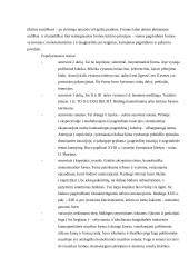 Baroko stilius 5 puslapis