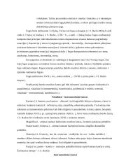 Baroko stilius 6 puslapis