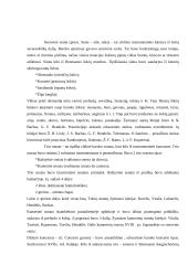 Baroko stilius 7 puslapis