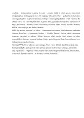 Baroko stilius 8 puslapis