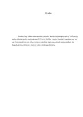 Baroko stilius 9 puslapis