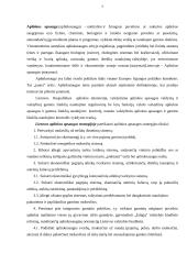 Valstybinės aplinkos apsaugos kontrolės organizavimas  Utenos regione 6 puslapis